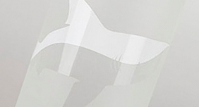 shark bottle(frosted)